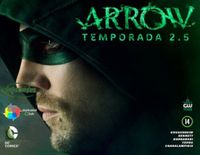 Arrow Temporada 2.5
