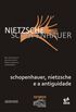 Nietzsche-Schopenhauer: schopenhauer, nietzsche e a antiguidade