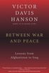 Between War and Peace: Lessons from Afghanistan to Iraq (English Edition)
