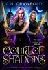 Court of Shadows: