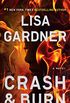 Crash & Burn (Tessa Leoni series Book 3) (English Edition)