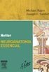 Netter: Neuroanatomia Essencial