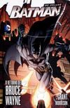 Batman: O Retorno de Bruce Wayne