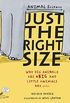 Just the Right Size: Why Big Animals Are Big and Little Animals Are Little