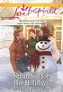 Stranded for the Holidays (Love Inspired) (English Edition)