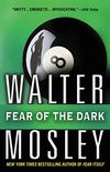 Fear of the Dark: A Novel (Fearless Jones) (English Edition)