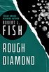 Rough Diamond (English Edition)