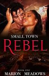Small Town Rebel