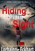 Hiding in Plain Sight (Billy Jo McCabe Mystery Book 2) (English Edition)