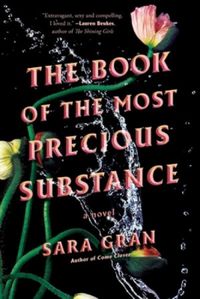 The Book of the Most Precious Substance: A Novel (English Edition)