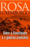 Sobre a Constituinte e o governo provisrio