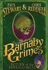 Barnaby Grimes: Return of the Emerald Skull (English Edition)