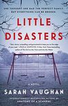 Little Disasters: A Novel (English Edition)