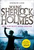 Young Sherlock Holmes: Der Tod ruft seine Geister  Der junge Sherlock Holmes ermittelt in Irland (German Edition)