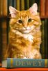 Dewey: The small-town library-cat who touched the world (English Edition)