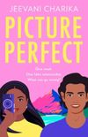Picture Perfect (eBook)