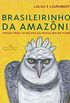 Brasileirinhos da Amaznia