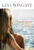 Larkspur Cove (The Shores of Moses Lake Book #1) (English Edition)