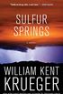 Sulfur Springs: A Novel (Cork O