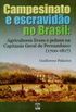 Campesinato e escravido no Brasil