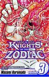 Knights of the Zodiac (Saint Seiya): Volume 3