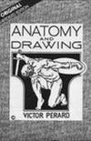 Desenho e Anatomia