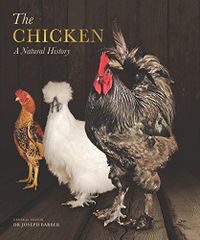 The Chicken: A Natural History (English Edition)