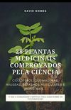 28 PLANTAS MEDICINAIS COMPROVADOS PELA CINCIA