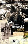 Lei Dos Registros Publicos Comentada (Portuguese Edition)