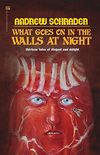 What Goes On In The Walls At Night (English Edition)