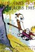 Calvin and Hobbes Sunday Pages 1985 - 1995