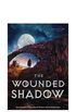 The Wounded Shadow (The Darkwater Saga Book #3)