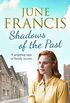 Shadows of the Past: A gripping saga of family secrets (English Edition)