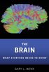 The Brain: What Everyone Needs To Know