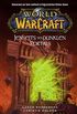 World of Warcraft: Jenseits des dunklen Portals: Roman zum Game (German Edition)