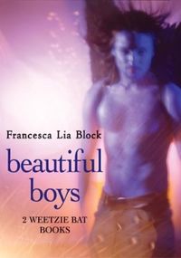Beautiful Boys: Missing Angel Juan and Baby Be-Bop (Weetzie Bat Book 2) (English Edition)