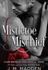 Mistletoe Mischief: A Lost and Found Series Novella- Roger (English Edition)