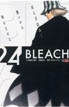 Bleach Remix #24
