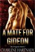 A Mate for Gideon