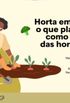 Horta em Casa: o que plantar e como cuidar das hortalias