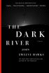 The Dark River: Book Two of the Fourth Realm Trilogy (English Edition)
