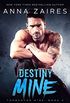 Destiny Mine (Tormentor Mine Book 3) (English Edition)