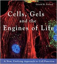 Cells, Gels, and the Engines of Life
