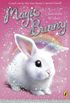 Magic Bunny: Chocolate Wishes (English Edition)