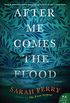 After Me Comes the Flood: A Novel (English Edition)