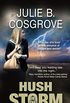 Hush in the Storm (English Edition)