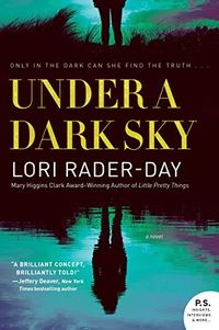 Under a Dark Sky: A Novel (English Edition)