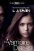 The Vampire Diaries: The Fury (English Edition)