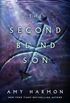 The Second Blind Son