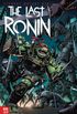 Teenage Mutant Ninja Turtles: Last Ronin #2